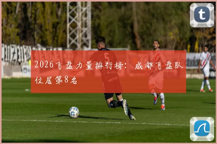 2026飞盘力量排行榜：成都飞盘队位居第8名