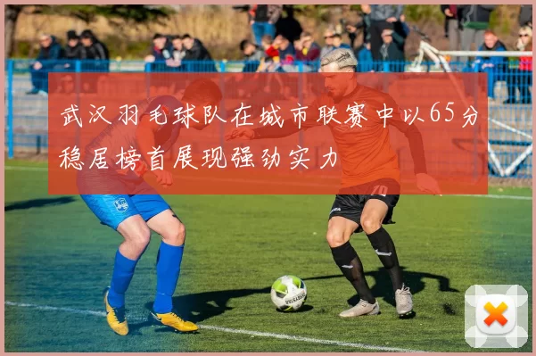 武汉羽毛球队在城市联赛中以65分稳居榜首展现强劲实力