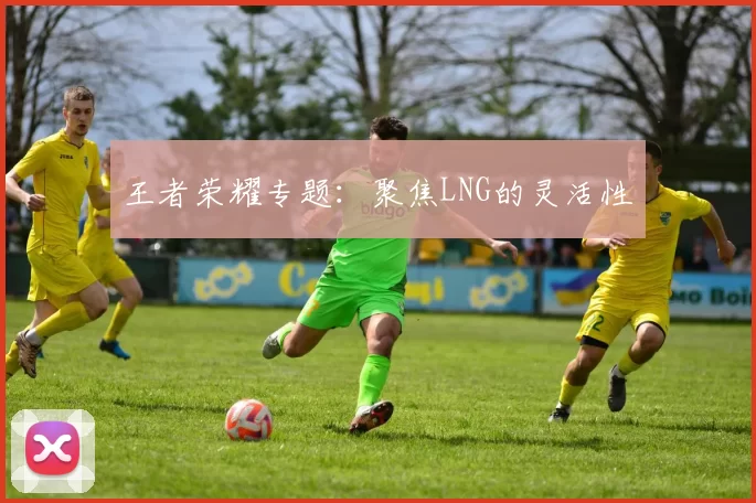 王者荣耀专题：聚焦LNG的灵活性