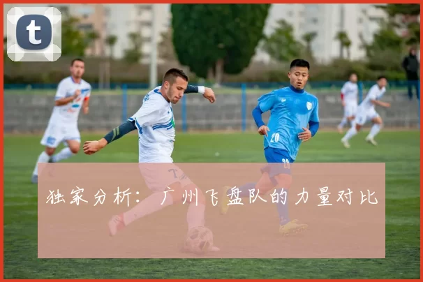 独家分析：广州飞盘队的力量对比